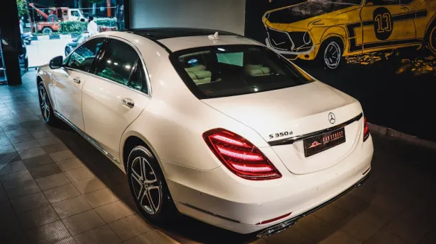 Bluvegas Casino App Android/iOS